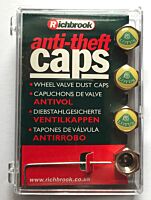 1 Anti-theft valve caps