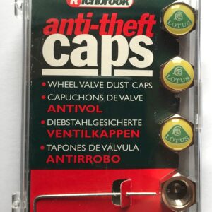 1 Anti-theft valve caps
